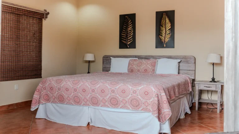 King Standard room with king bed and air conditioning