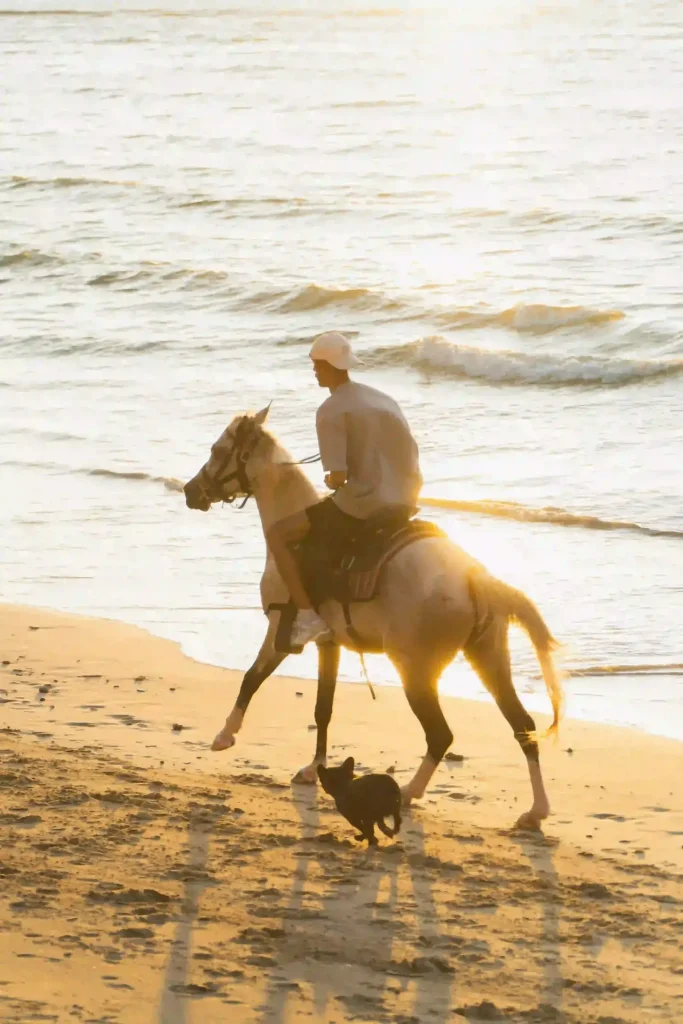 Guest riding a horse along the beach at sunset near Popoyo